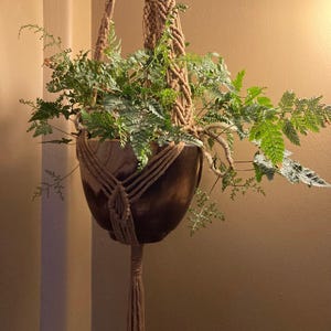 May include: A hanging macramé plant holder with a wooden bowl, filled with green ferns. The macramé is made of tan rope, and the plant holder is suspended from the ceiling. The ferns have a variety of green shades.