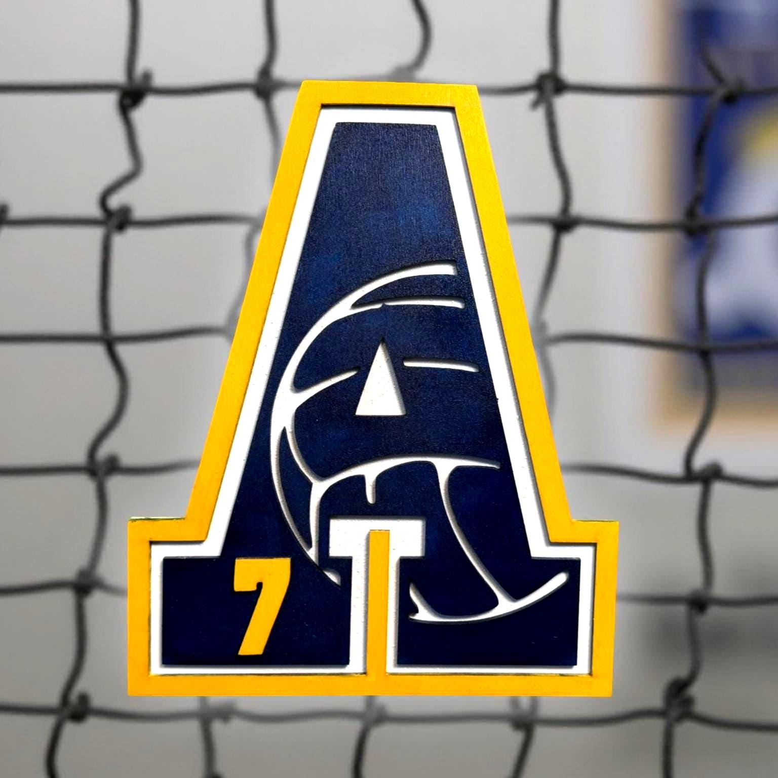 Custom Volleyball Letter Sign – Personalized 12" Wooden Wall Decor – Jersey Number & Team Colors – Sports Room or Coach Gift - Image 1