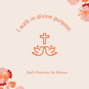 Gottes Versprechen für Frauen - Affirmationskarten Deck