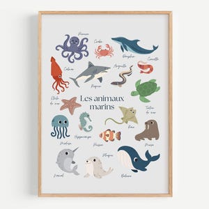 Affiche Éducative Animaux Marins Enfants, Français, Chambre d&#39;enfants, bébé, neutre, garçon et fille. Abécédaire, Poster mural, alphabet