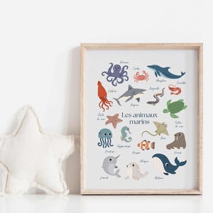 May include: A framed print featuring colorful illustrations of various sea creatures, including an octopus, shark, and whale. The print is labeled "Les animaux marins" and is displayed next to a white star-shaped pillow.