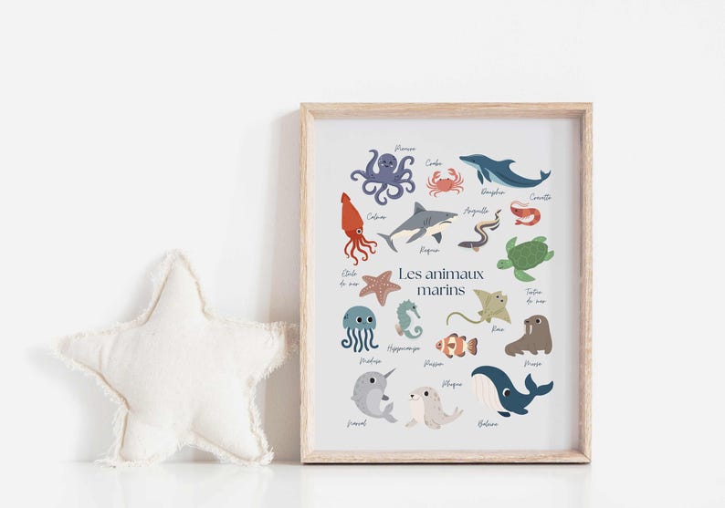 May include: A framed print featuring colorful illustrations of various sea creatures, including an octopus, shark, and whale. The print is labeled "Les animaux marins" and is displayed next to a white star-shaped pillow.