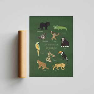 May include: A poster featuring jungle animals, including a black panther, crocodile, bat, monkey, gorilla, parrot, snake, toucan, jaguar, and tiger. The title "Les animaux de la jungle" is displayed in white text on a green background.