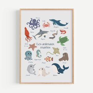 May include: A framed print featuring colorful illustrations of various sea creatures, including an octopus, crab, dolphin, and shark. The print has the French text "Les animaux marins" and is set against a light gray background.