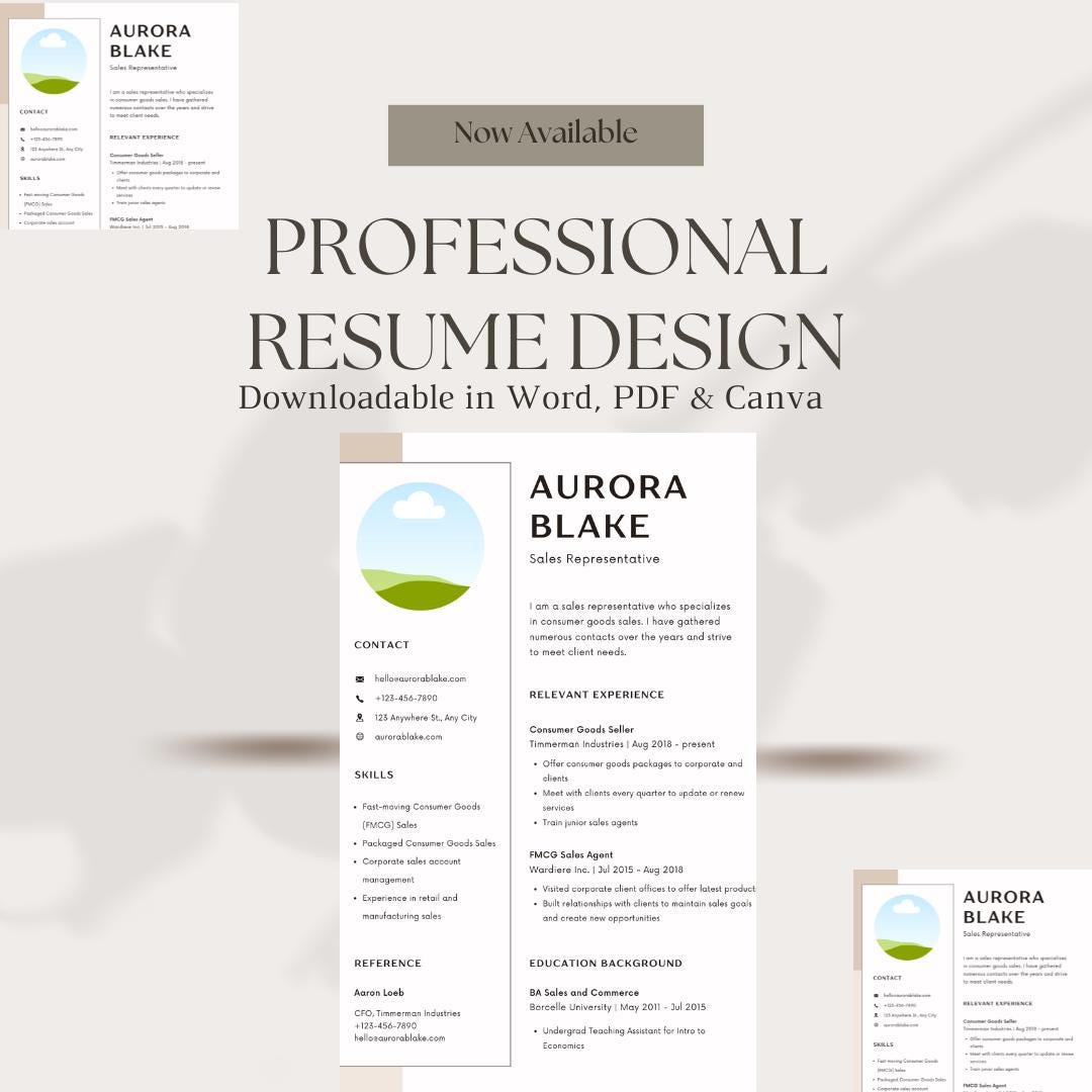 Professional Resume Template | Editable in PDF, Word & Canva | Modern ...
