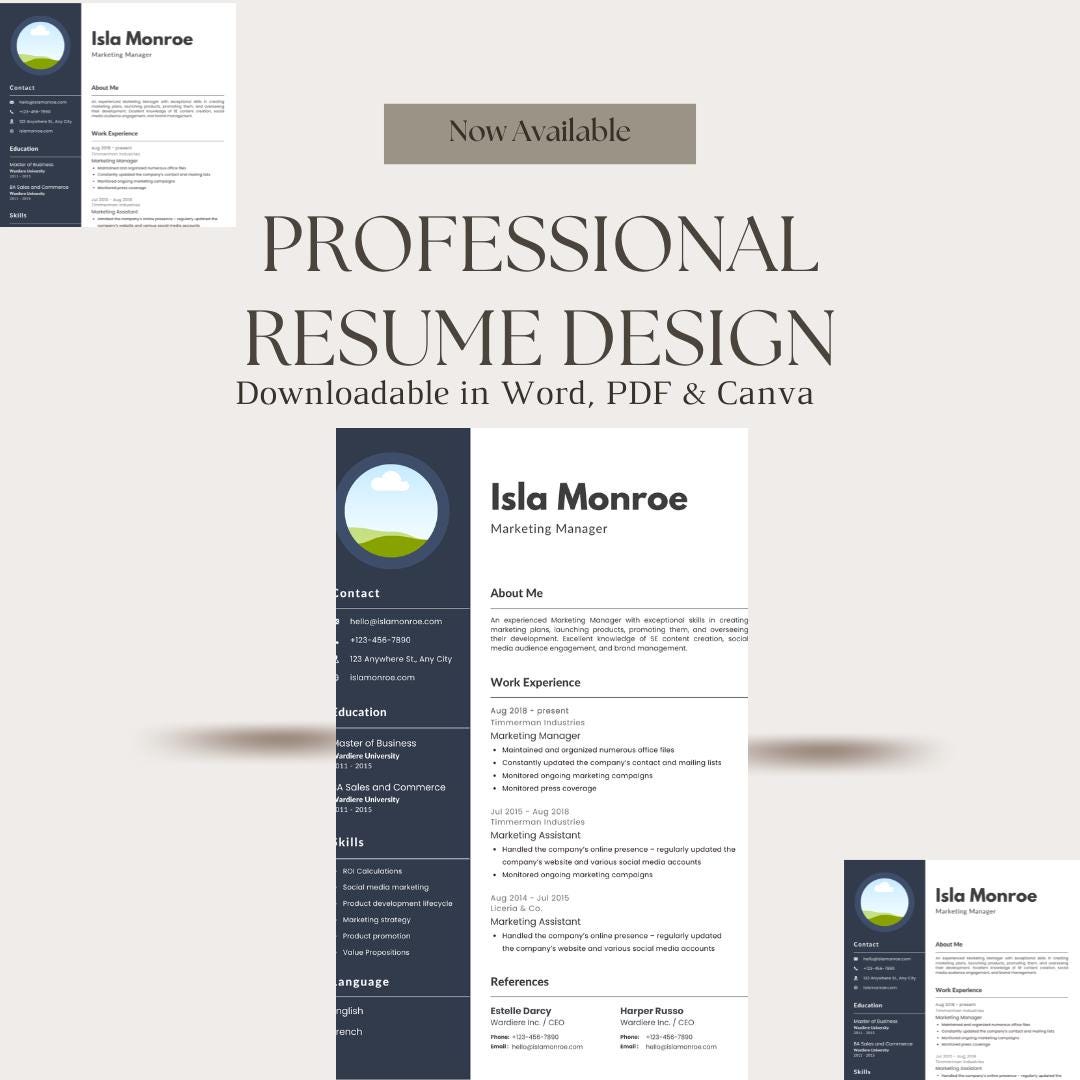 Professional Resume Template | Editable in PDF, Word & Canva | Modern ...