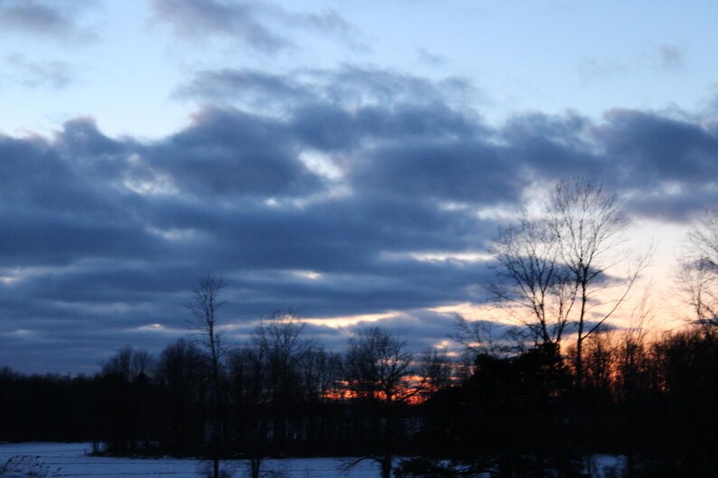 K&ouml;nnte beinhalten: Ein bew&ouml;lkter Himmel mit einem Hauch von Rosa in der Ferne. Im Vordergrund sind Silhouetten von B&auml;umen zu sehen.