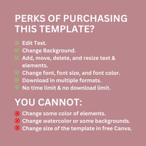 Editable Cosmetic Mega Bundle Label Design Canva, 50+ Custom Skincare Beauty Body Product Label Sizes, Bottle, Soap, Jar Label, ThankYouCard