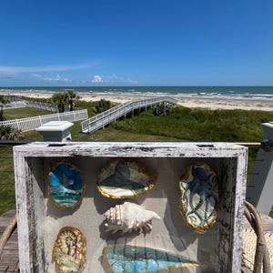 May include: A white, distressed wooden shadow box displaying six painted seashells. The shells feature ocean-themed artwork with gold trim. The background shows a beach scene with a boardwalk and ocean.