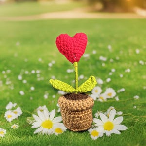 Handmade Crochet Heart in a Pot, Birthday Gift, Christmas Decor, Valentine&#39;s Day Gift, Home Decor, Heart Planter, Crochet Heart Plant in Pot