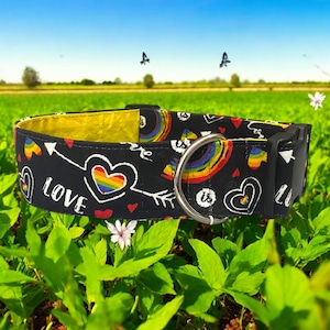 Love is Love Dog Collar
