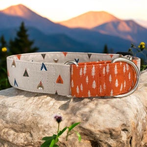 Outdoor Adventure Martingale Dog Collar