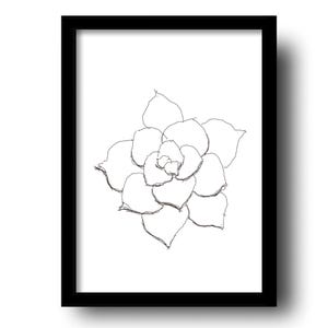Hand-Drawn Succulent Line Art Print: Boho Minimalist Decor (Digital Download)