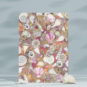 She Sells Seashells-pakket met 10 ansichtkaarten (VS en CA)