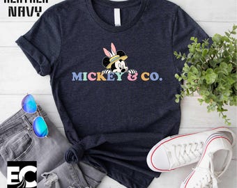 Mickey & Co T-Shirt, Disney Shirt, Mickey And Co Tee, Disneyworld Shirts, Family Mickey Top, Disney Family Sweater, Disney Trip Sweatshirt