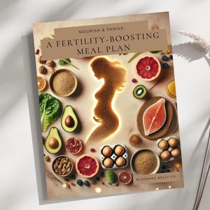 Fertility Meal Plan | 4-Week Guide to Boost Hormones & Support Conception | Budget-Friendly Recipes and Meal Prep Guide