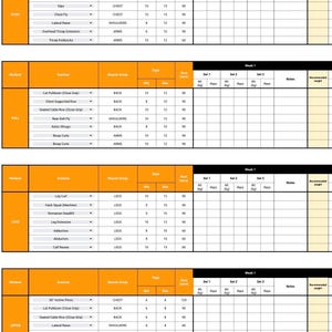 May include: A workout plan with a table listing exercises, muscle groups, sets, reps, and recommended weight. The plan includes exercises for chest, shoulders, back, legs, and arms.