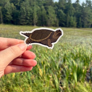 Puede incluir: Una pegatina con una ilustración detallada de una tortuga con caparazón marrón y detalles en beige. La tortuga se representa de perfil, con la cabeza y las patas visibles. La pegatina se sostiene sobre un fondo de hierba verde y árboles.