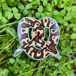 May include: A die-cut sticker featuring a brown and tan ball python coiled into the shape of a pretzel. The snake has a dark brown pattern on a lighter tan background, a visible head with a dark eye, and a small pink forked tongue extending outward.