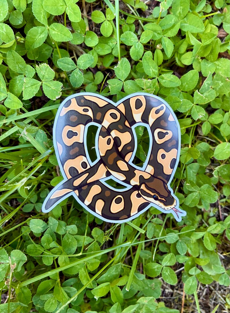 May include: A die-cut sticker featuring a brown and tan ball python coiled into the shape of a pretzel. The snake has a dark brown pattern on a lighter tan background, a visible head with a dark eye, and a small pink forked tongue extending outward.