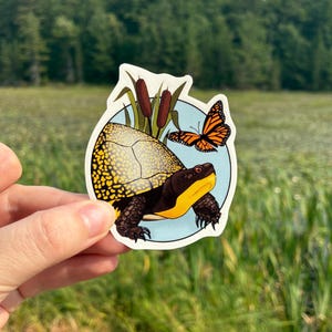 Blandings Turtle Waterproof Sticker for Waterbottles, Laptops, Phones, ect.