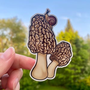 Morel Mushroom Fairycore Waterproof Sticker for Waterbottles, Laptops, Notebooks, Canoe