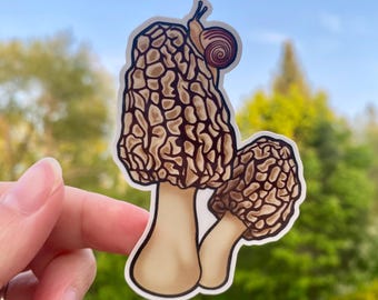 Morel Mushroom Fairycore Waterproof Sticker for Waterbottles, Laptops, Notebooks, Canoe