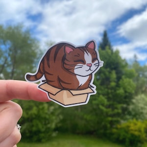 Waterdichte sticker Tabby Cat in a Box voor bidons, laptops en notebooks