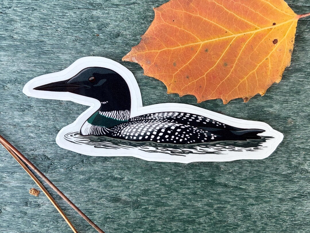 Common Loon Waterproof Sticker for Waterbottles, Laptops, Phones, Ect ...