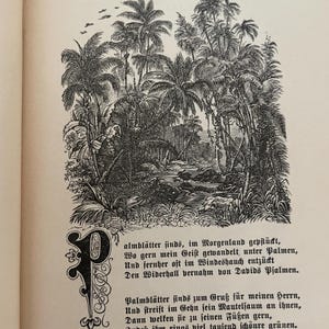 May include: A black and white book page featuring the title Palmbl&auml;tter, a detailed woodcut illustration of a dense tropical palm forest with a stream, and a decorative initial letter P followed by two stanzas of German text in a serif font.