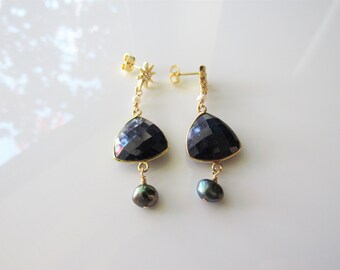 Sodalite and Coppered Hematite Earrings Enameled Copper