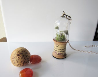 Miniature mushroom terrarium ornament - woodland art hanging, miniature cloche, home decor