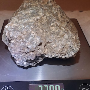 May include: A large, irregularly shaped rock with a rough, textured surface. The rock is a mix of gray, brown, and white hues. It is placed on a digital scale, which displays a weight of 2200 lb.