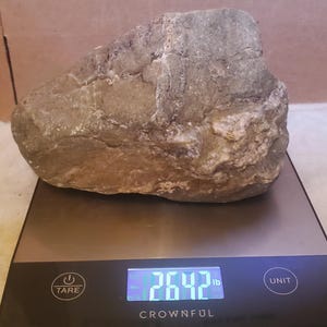 May include: A large, irregularly shaped rock with a rough, textured surface, resting on a digital scale. The scale displays a weight of 26.42 pounds. The rock has a mix of gray, brown, and tan colors.