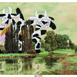 Mad Cows 8.5 x 11 Art Print