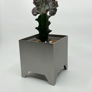 Può includere: Un cactus verde con una parte superiore strutturata e multicolore, piantato in un vaso quadrato di metallo grigio. Il vaso ha un design minimalista con piccoli piedi angolati. Il cactus è una pianta decorativa unica.