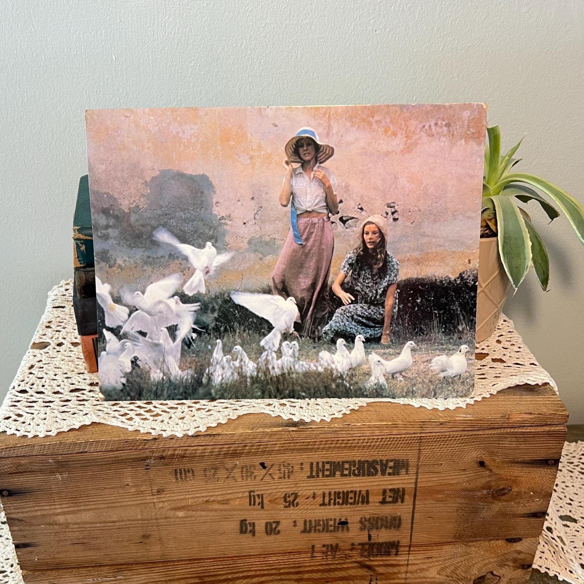 David hamilton - Etsy 日本