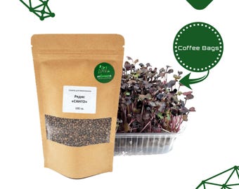 Custom Kraft Paper Food Bags: Resealable Coffee Bag with Logo