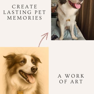 Bundle of 3. Custom Pet Art Portrait, Cartoon Pet Sketch, Personalized Memorial Gift, Pet Owner Gift, Custom Dog or Cat Art