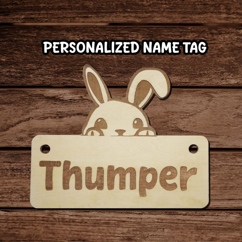 Bunny Cage Name Tags - Etsy