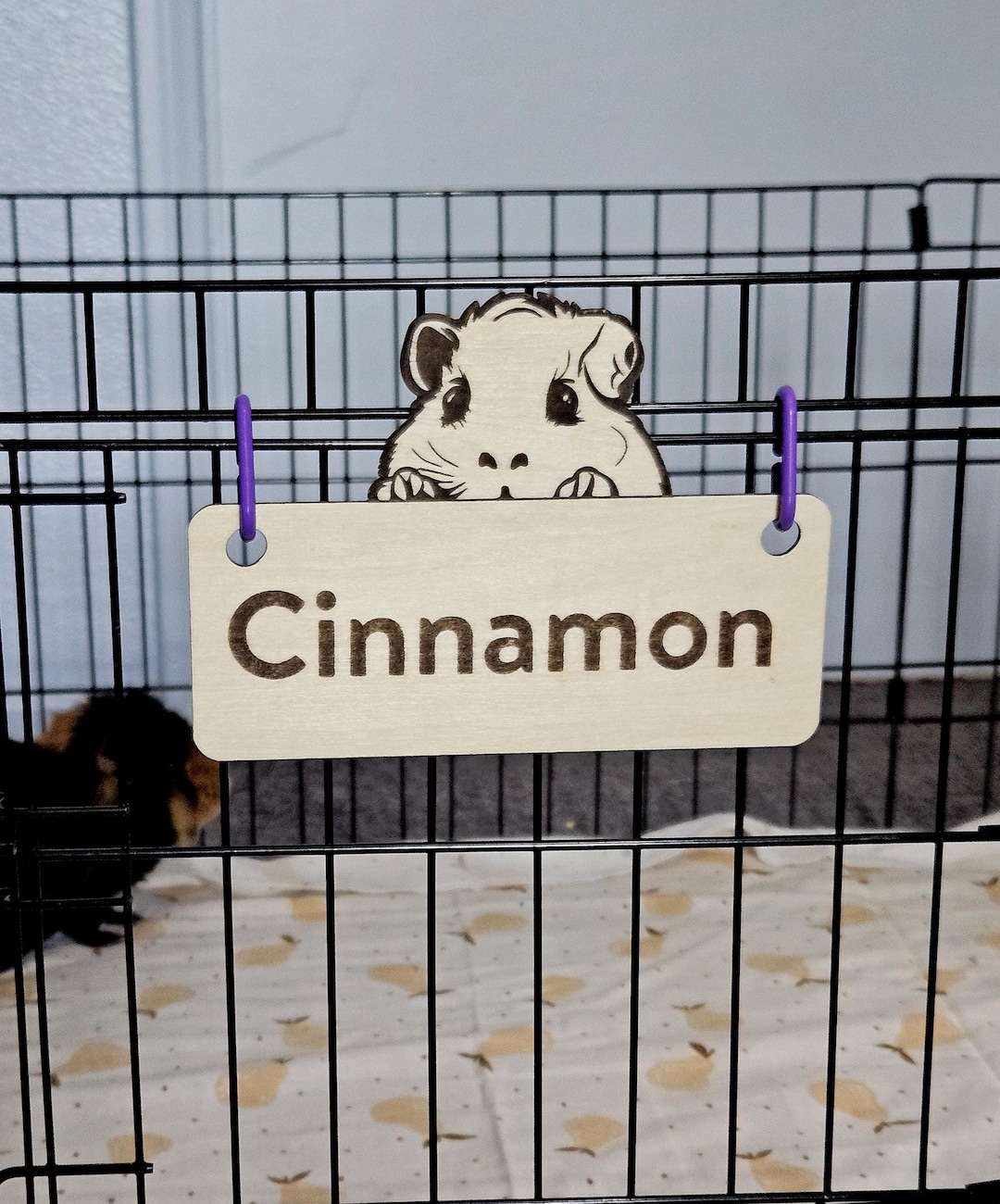Cage Tags Guinea Pig Cage Tag, Custom, Personalized, Engraved Wood, Pet Guinea ...