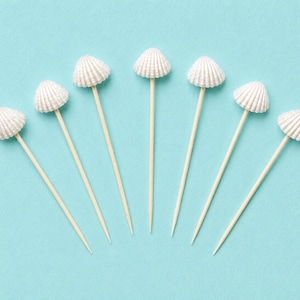 May include: A set of seven decorative picks, each featuring a small, white, ribbed seashell attached to the top of a thin, light-colored wooden skewer. The picks are arranged in a fan-like formation against a solid, light blue background.