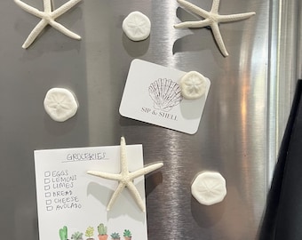 Starfish & Sea Biscuit Fridge Magnets, Coastal Beach House Decor