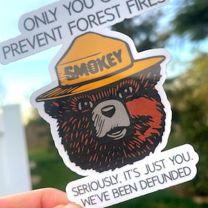 Adesivo Smokey Bear – Solo tu puoi prevenire gli incendi boschivi – Adesivo impermeabile vintage