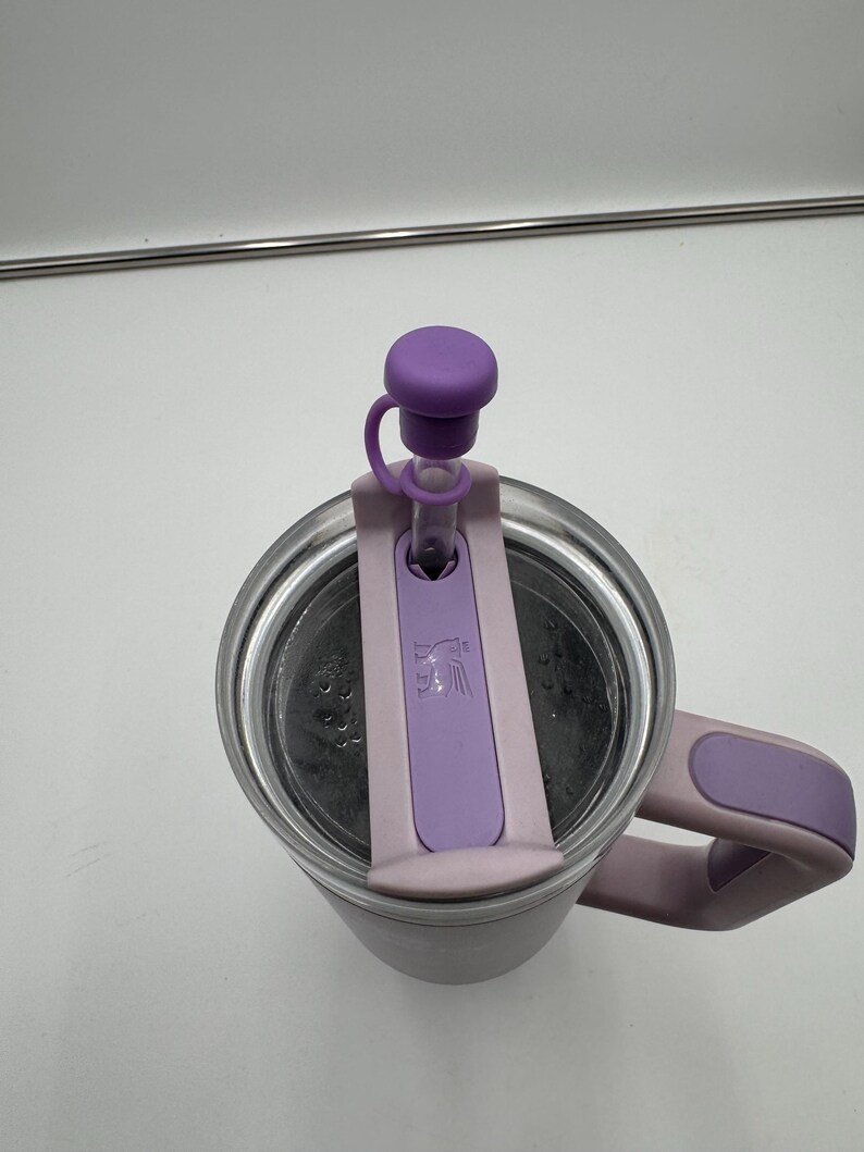 Op de afbeelding: Een roestvrijstalen reismok met een paarse handgreep en deksel. Het deksel heeft een paars rietje en een flip-top sluiting. De mok is ontworpen om dranken warm of koud te houden. De mok is ontworpen voor buitenactiviteiten.