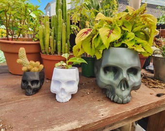 3D Printed Skull Planter – Gothic Home & Garden Décor