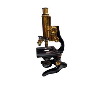 May include: An antique microscope with a brass body and black base. The microscope has multiple lenses and adjustment knobs. The stage is black with two clips. A classic scientific instrument.