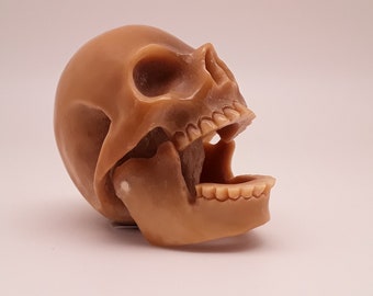 Tagua Nut Carving- Skull