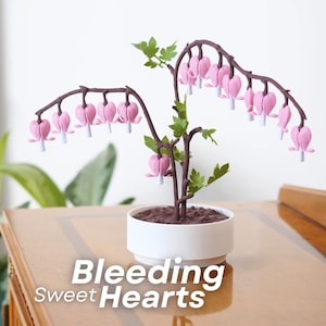 Bleeding Hearts With Love Notes Plant