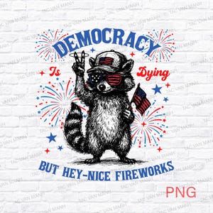 Democracy Is Dying Fourth of July Protest PNG, 4th Of July , Political Retro, But Hey Nice Fireworks Png, Raccoon png, Sarcastic Png